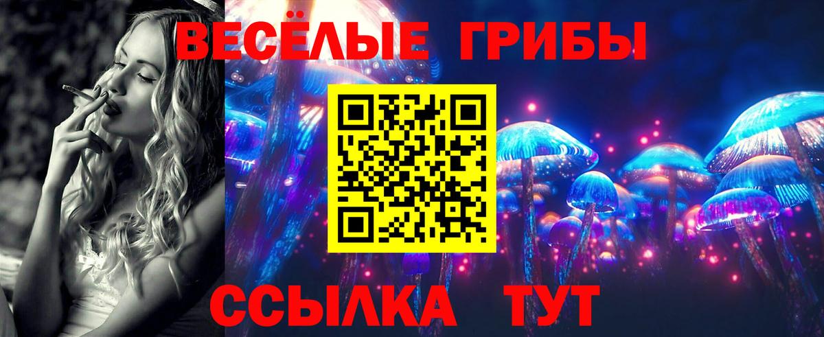 Галлюциногенные грибы Psilocybine cubensis Реутов